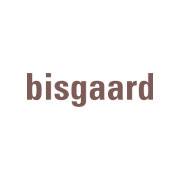 Bisgaard Shoes Logo